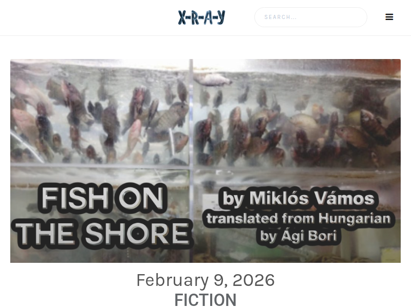 Screenshot of xraylitmag.com