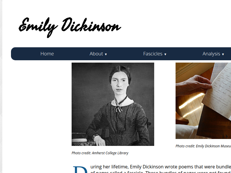 Screenshot of dickinson.newtfire.org